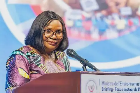 Major Environmental Reforms in the Democratic Republic of Congo Praised by University Professor