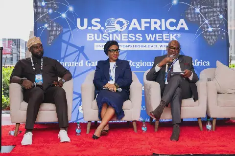 Tinubu's Regional Agenda Offers Investors Clearer Route into Nigeria