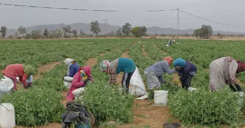 UN Women's Tunisia Launches Campaign to Support Rural Women
