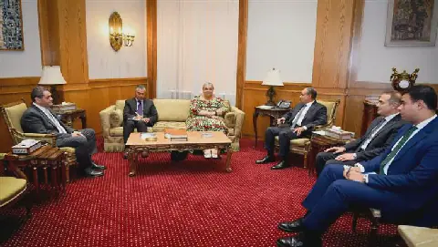 Egypt Supports Comprehensive Libyan Settlement: Minister of Foreign Affairs