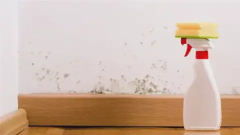 Understanding and Preventing Mould Growth on Walls Before Winter