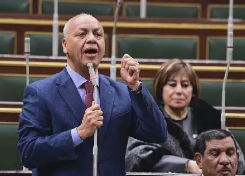 Egyptian Parliament to Convene Emergency Session at President's Request