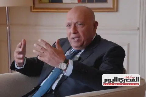 Egypt's Foreign Policy Priorities Post-30 June Revealed