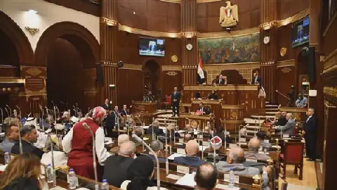 Egyptian Senate Convened for Second Session