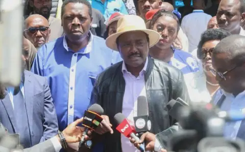 Kalonzo welcomes Dangote's oil refinery project but calls for transparency in gov't projects