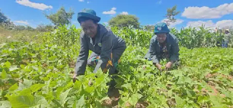 Kenya pledges Sh390 million to UN fund to boost small farmers