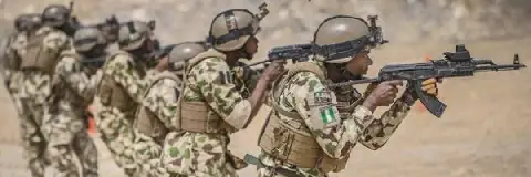 Troops, police comb Niger forest for abducted farmers