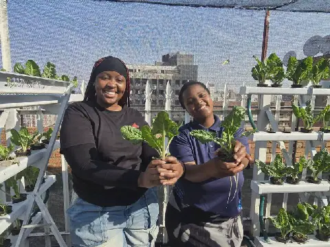 Health and hope thrive in a hydroponic garden on a rooftop in Hillbrow
