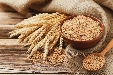 Tunisia Concerned Over Rising Global Grain Prices
