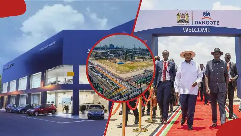 Dangote 63