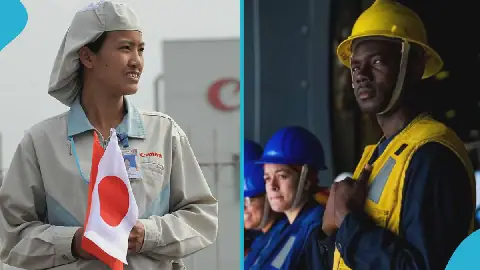 Japan job