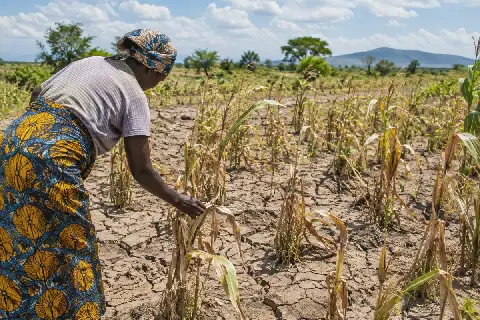 EAC seeks unified stance ahead of UN climate conference