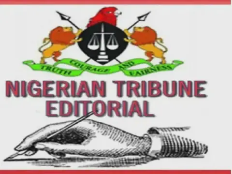 Nigerians Continue to Lose Millions to Ponzi Schemes