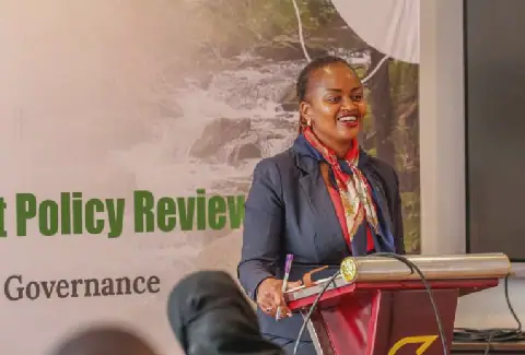 Kenya's National Environmental Policy Draft Validated by Technical Working Group