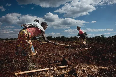 FADA reforça apoio aos produtores agrícolas na Lunda Sul e no Moxico