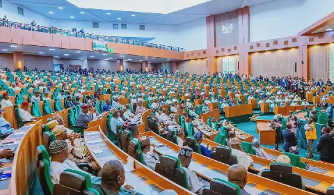 Bago, Tompolo, Moghalu, Elumelu to lead State Police debate in Abuja