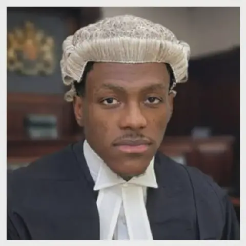 Wike's Son Denies $2.1m Abuja Land Deal, Alleges Forgery