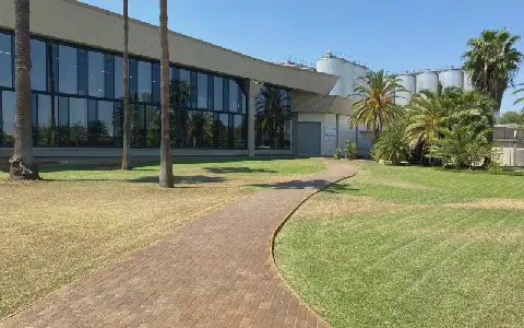 Simonis Storm flags export, liquidity risks at Namibia Breweries
