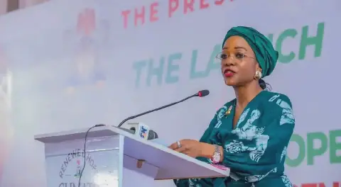 Nigeria Approves Carbon Market Framework to Support Low-Carbon Economy