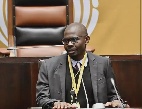 Gana says court challenges will not derail Ramaphosa impeachment inquiry