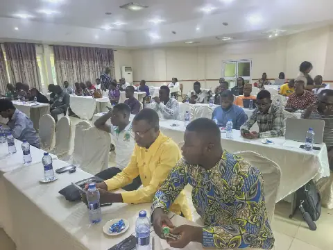 Constitutional reforms must survive changes in government – Governance Advocate