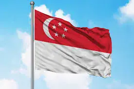 Singapore unveils matchmaking service amid falling birth rate