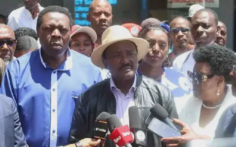 Kalonzo Backs Sh2.2 Trillion Dangote Refinery Project in Lamu