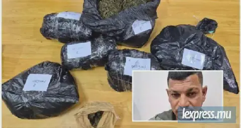 Mauritius: 2.72 Kilos of Cannabis Seized at Plaine-Magnien