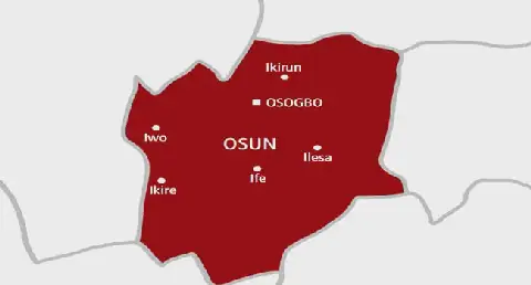 Osun: Looting hit Osogbo food scheme as operators flee