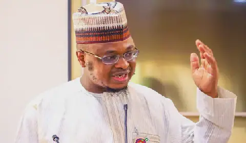 2027 elections: Former minister loses governorship ticket