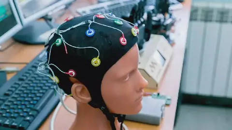 Russian Researchers Develop Program to Identify Epileptic Foci in the Brain