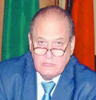 صلاح عطية