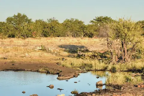 Namibia Breweries Limited Achieves Sustainability Milestones Amidst Challenging Economic Conditions