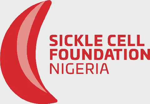 Sickle Cell Foundation Urges Nigeria to Lead Global Partnership at UNGA