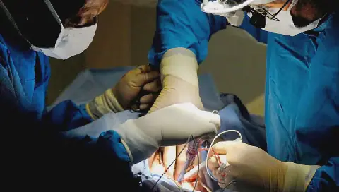 US embargo blamed as struggling SA medical students endure Cuba misery