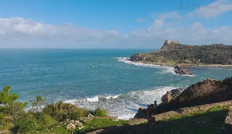 Tunisia's Tabarka Hosts Forum to Promote Sustainable Tourism and Job Creation