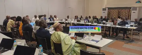 Guinée : premier comité de pilotage pour le projet Urgences Hospitalières