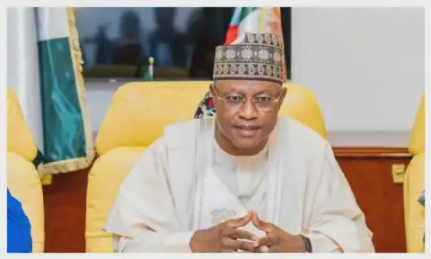 Healthcare: Kaduna to rehabilitate 17 centres of excellence