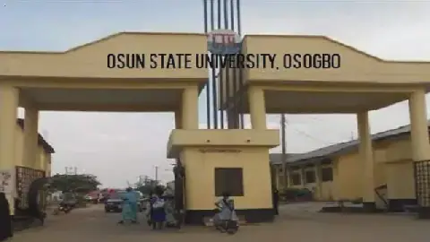 Osun State University Makes Debut in THE Global Rankings, Ranks Top State University in Nigeria