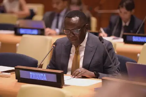 Rwanda Urges UN to Expedite FDLR Disarmament