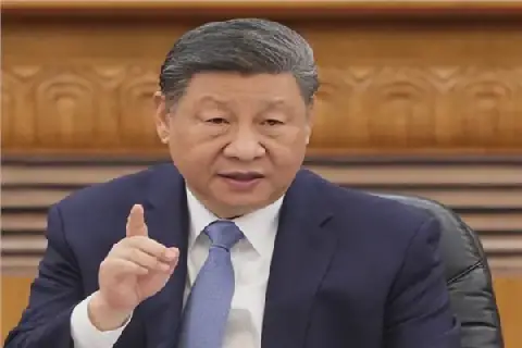 Chinese President Xi Jinping Addresses BRICS Summit