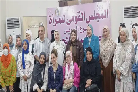 Egypt's National Women's Council Hosts Reproductive Health Awareness Seminar