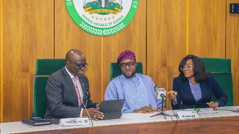 FG launches digital postcode to tackle poor addressing, N80b annual losses
