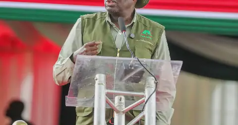 Koskei hails Mau Forest recovery programme for restoring ecosystems and livelihoods