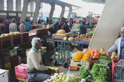 Land Still Matters in South Africa: From Forced Removals to Community Food Gardens
