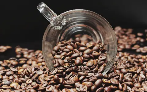 UN calls for fairer coffee value chain on International Coffee Day
