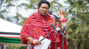 Senate Bill on county oversight faces opposition from devolution bodies