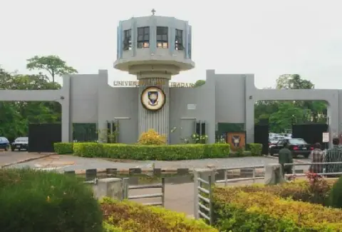 Frederick Foundation, UI, UCH Partner to Strengthen Stroke Care in Nigeria