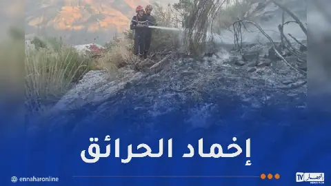 Algerian Civil Protection Forces Extinguish All Fires Across the Country