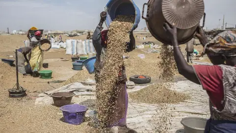 COMMERCIALISATION DES PRODUITS AGRICOLES : LE CHEF DE L’ÉTAT DEMANDE D’ACCÉLÉRER LES PRÉPARATIFS
